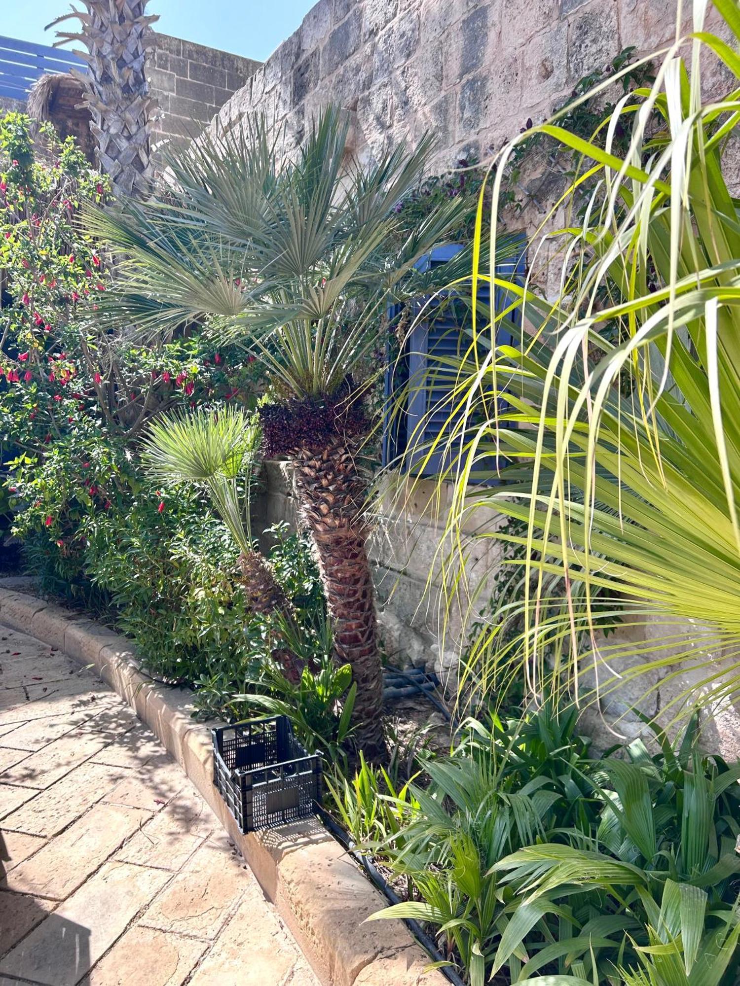 Ta Skorba Mgarr Landhuis L-Imgarr