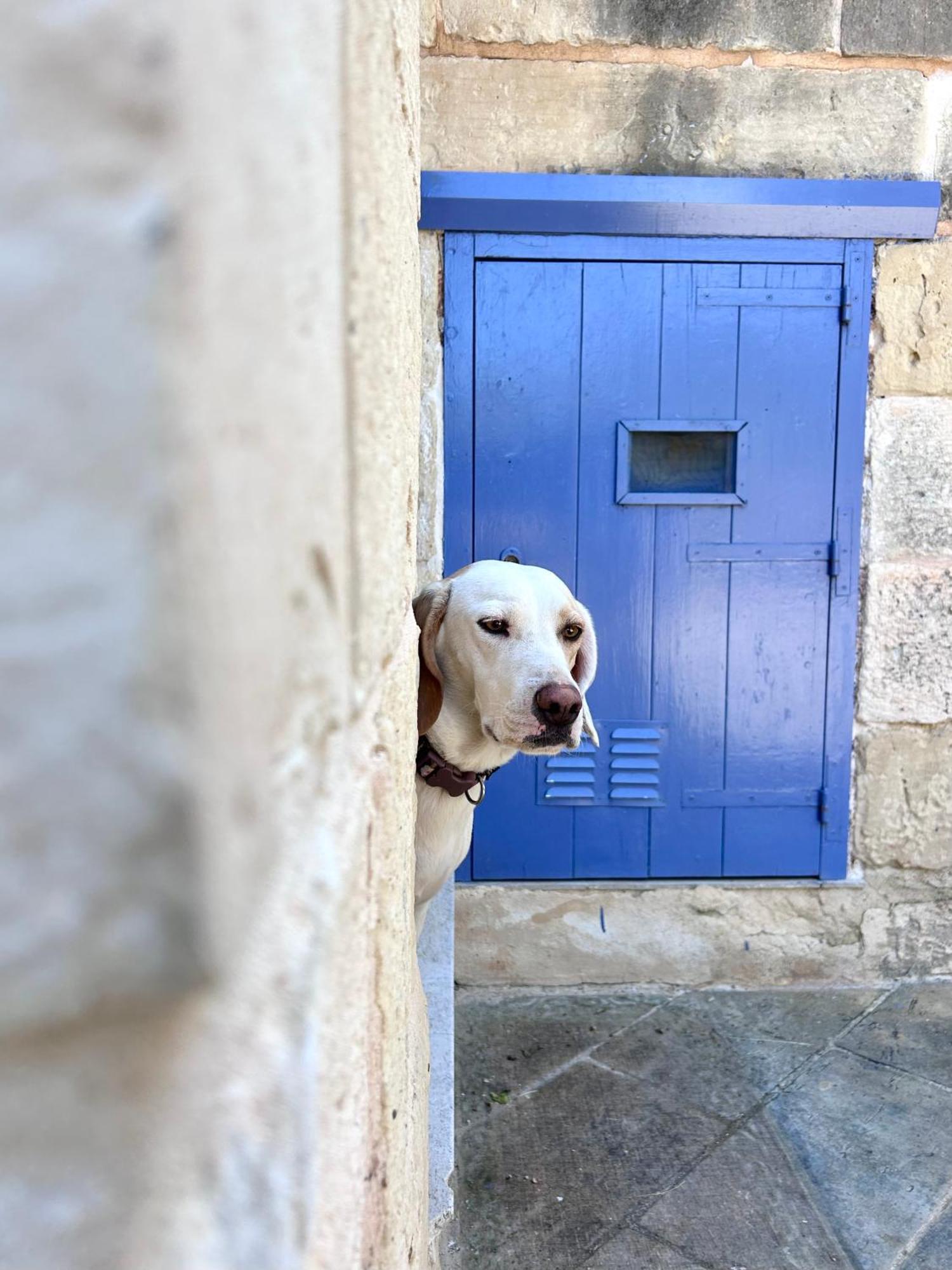 Ta Skorba Mgarr Landhuis L-Imgarr